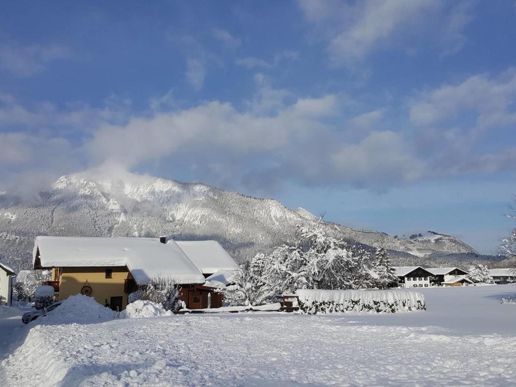 Chiemgauferienwohnungen - Wanderlust Und Alpenrose Unterwössen Buitenkant foto